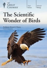 Scientific Wonder of Birds